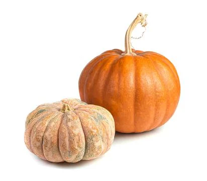 Two pumpkins of different varieties and shapes isolated on a white background Stock Photos