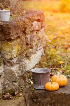 Two pumpkins in a garden on a sunset Stock Photos
