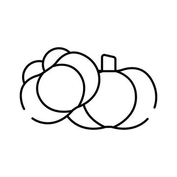 Two pumpkins with leaves in line art style Stock Illustration