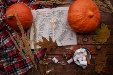 Two pumpkins lie on the table next to a book and cocoa with marshmallows Stock Photos