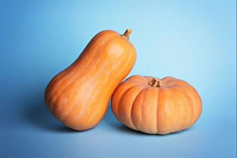 Two pumpkins on a light blue background. 写真素材