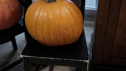 Two pumpkins lying on retro chairs Video stock 81457720