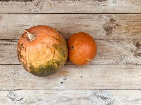Two pumpkins, one large the other slightly smaller. Stock Photos