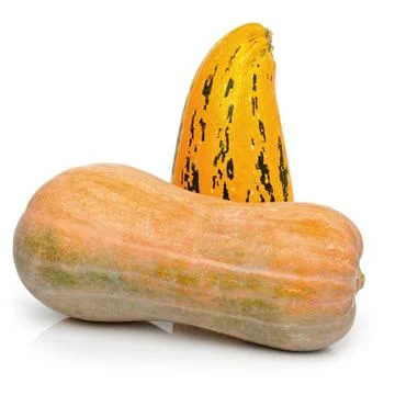 Two pumpkins Stock-Fotos