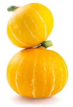Two pumpkins. Stock Photos