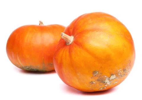 Two pumpkins Stock Photos