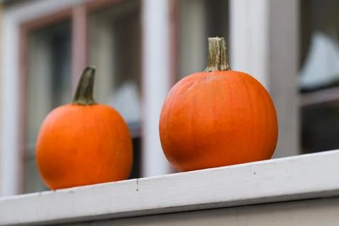 Two pumpkins Stock Photos