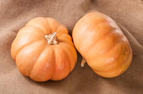 Two pumpkins on sackcloth Stock Photos