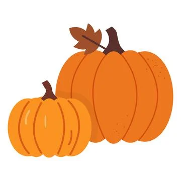 Two Pumpkins Sit Side by Side on a White Background During Fall Harvest Seaso Stock Illustration