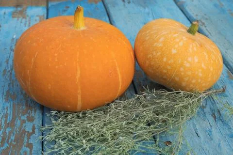 Two pumpkins on the table Stock Photos
