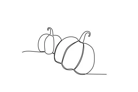 Two pumpkins for Thanksgiving Day Stock Illustration