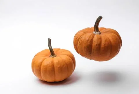 Two pumpkins on a white background for autumn or halloween Stock Photos