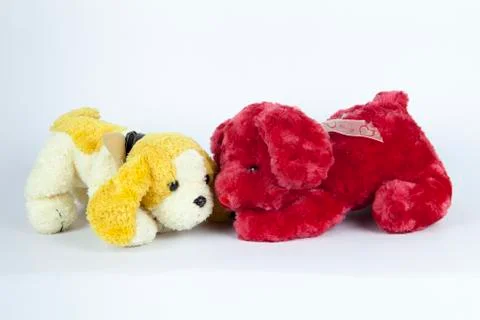 Two puppy Stock Photos