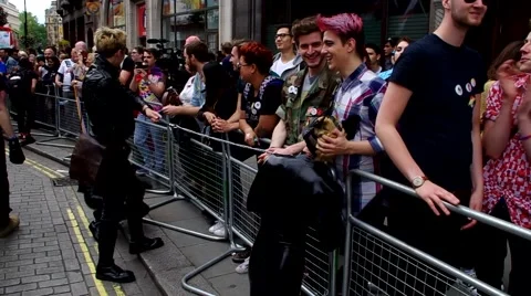 Two pups and their handler interact, in an act of animal role play 库存影片 64926753