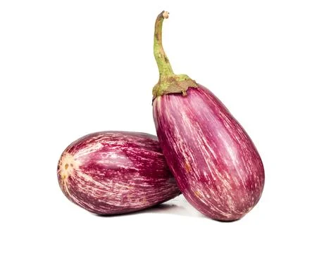 Two purple eggplants Stock Photos