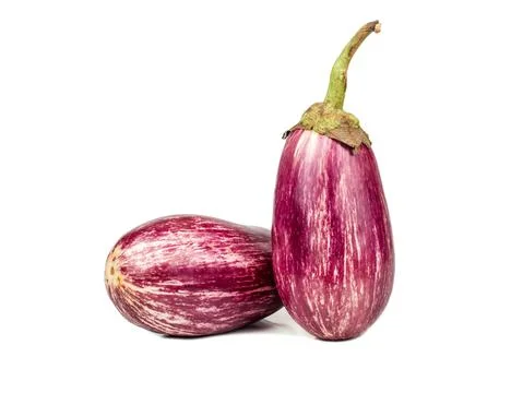 Two purple eggplants Stock Photos