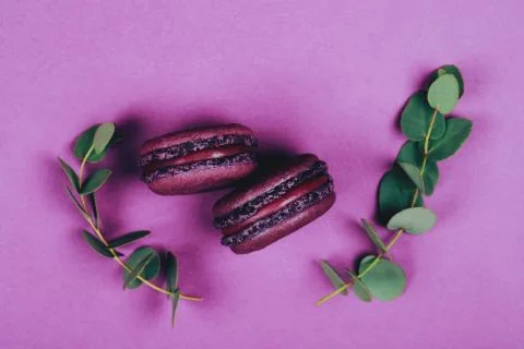 Two purple macarons on violet background Fotos Stock
