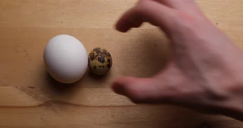 Two quail eggs and one chicken egg Stock Footage 156859060