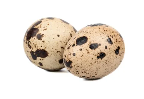 Two quail eggs Stock Photos