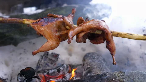 Two quail prepared on fire in the Winter Forest. Stock Footage 170461693
