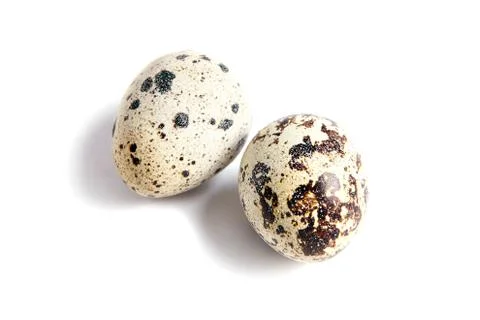 Two Quail spotted eggs, isolated on a white background Stock Photos