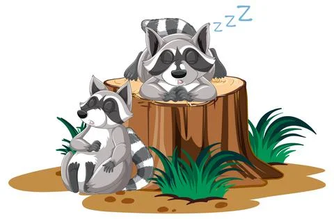 Two raccoons sleeping on the log Stock Illustration