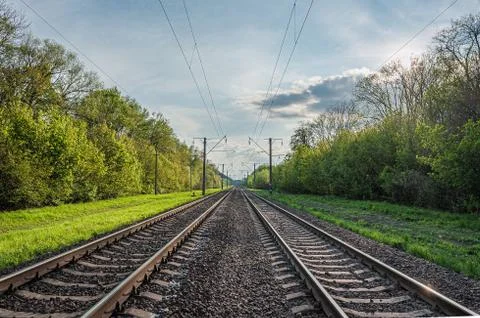 Two railway tracks go into the distance in the middle of a green forest Stock Photos
