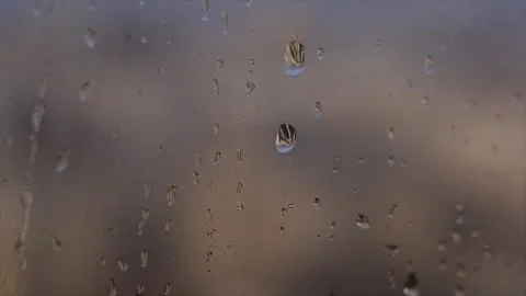 Two rain drops, wet background Stock Footage 163846718