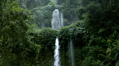 Two rain forrest waterfall Vidéo 107733