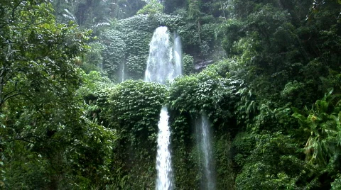 Two rain forrest waterfall tilt Vidéo 107030