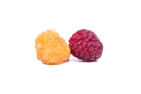 Two raspberries Stock Photos