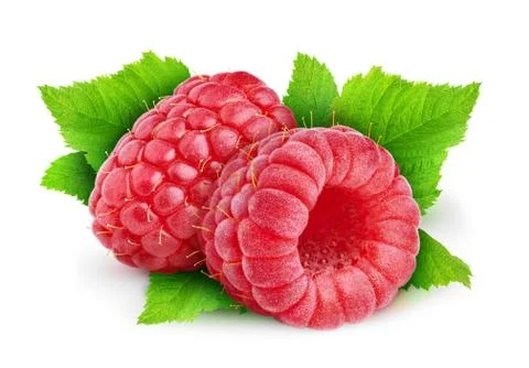 Two raspberries Stock Photos