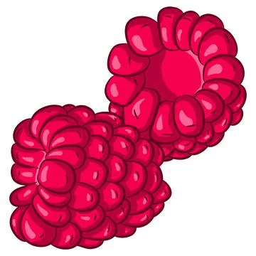 Two raspberries on white Stock Illustration