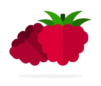 Two raspberry berries vector flat isolated Illustrazione stock