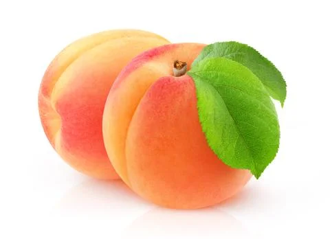 Two raw apricots Stock Photos