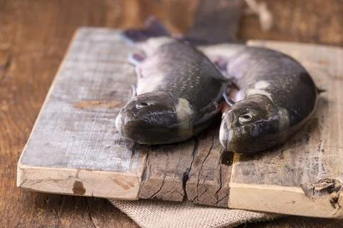 Two raw chars Stock Photos