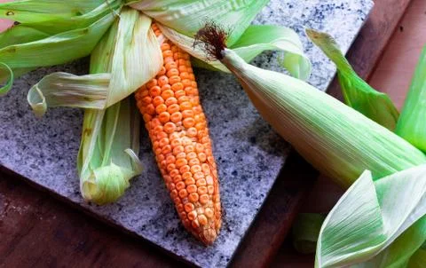 Two raw corn seeds with one half opened cover Stock Photos