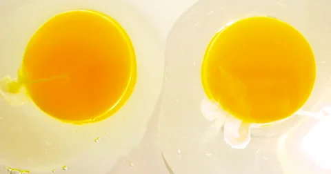 Two Raw Egg Yolks Side by Side in 4K Vidéo 65447075
