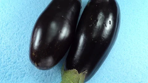 Two raw eggplant rotates on a blue Stock Footage 134728245