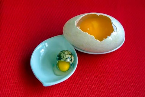 Two raw eggs of duck and quail in their shells. Stock Photos