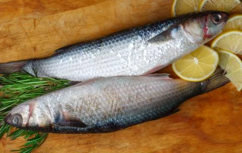 Two raw fresh grey mullet fishes lies on light wooden table with lemon segm.. Foto stock