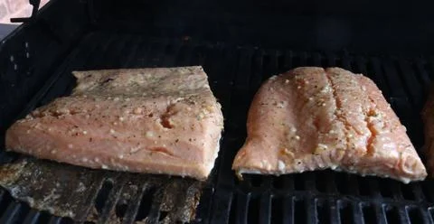 Two raw pieces of salmon Stock Photos