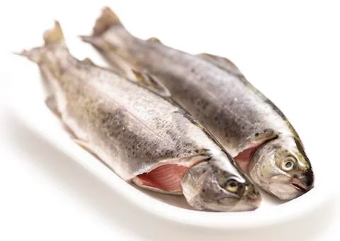 Two raw trouts on a plate Stock Photos