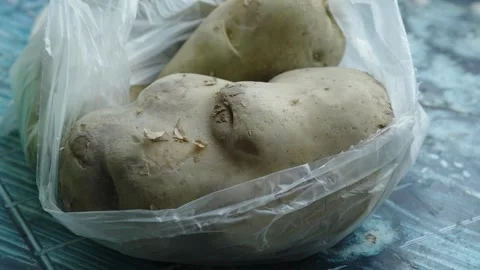 Two raw unpeeled potatoes sit inside a clear plastic bag. Stock Footage 339201538