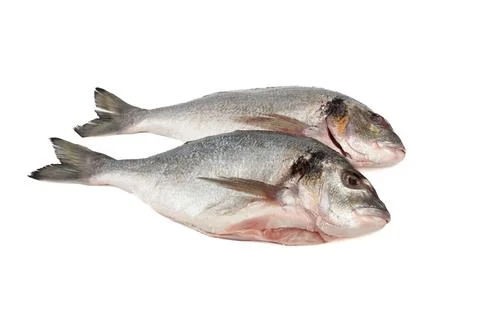 Two ready to cook cleaned dorado fish on white background. Stock Photos