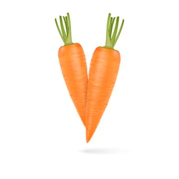 Two realistic vector carrots on white background. Illustrazione stock