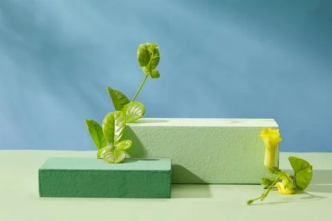 Two rectangular podiums with green leaves and yellow flower decorated on blue Stock Photos