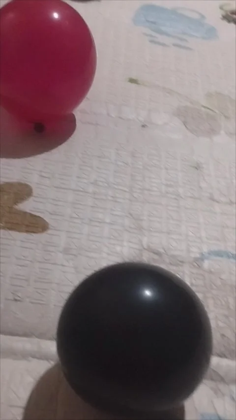 Two red and black party balloons moving Stock Footage 294733126