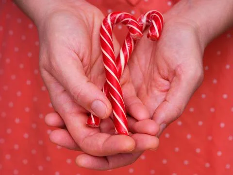 Two red and white candy canes in woman palms. Close-up Stock Photos