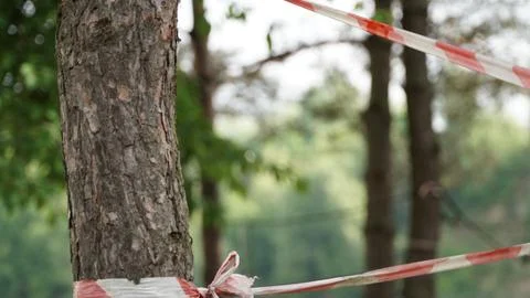Two Red and White Warning Tapes Attached to Tree Stock Photos